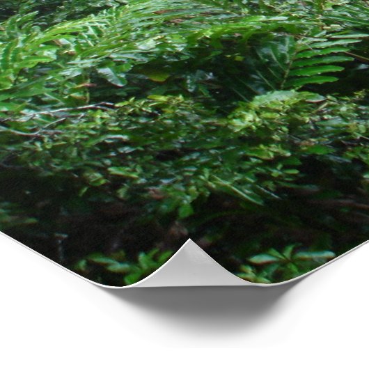 Wasserfall Poster (Ecke)