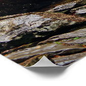 Wasserfall-Poster Poster (Ecke)