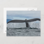 Wasserfall Postkarte (Vorne/Hinten)