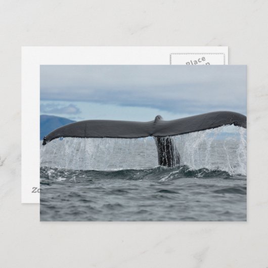 Wasserfall Postkarte (Vorne/Hinten)