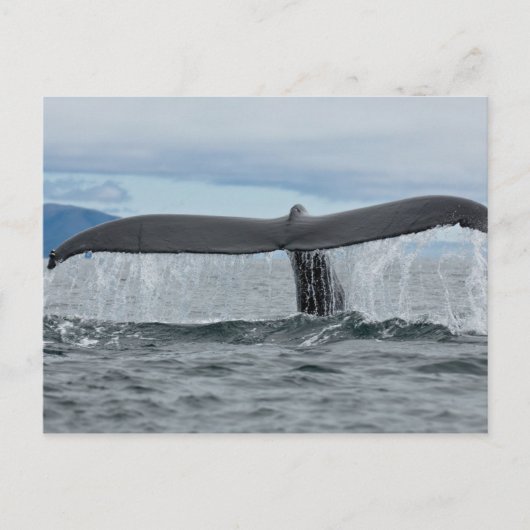 Wasserfall Postkarte (Vorderseite)