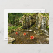 Wasserfall Postkarte (Vorne/Hinten)