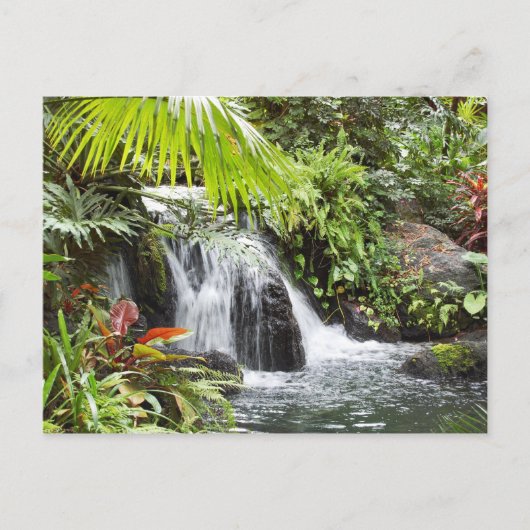 Wasserfall Postkarte (Vorderseite)
