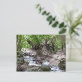 Wasserfall Postkarte (Stehend Vorderseite)