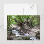 Wasserfall Postkarte (Vorne/Hinten)