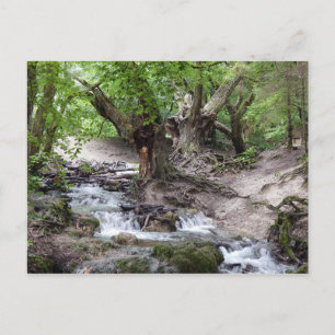 Wasserfall Postkarte