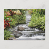 Wasserfall Postkarte (Vorderseite)