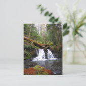 Wasserfall Postkarte (Stehend Vorderseite)