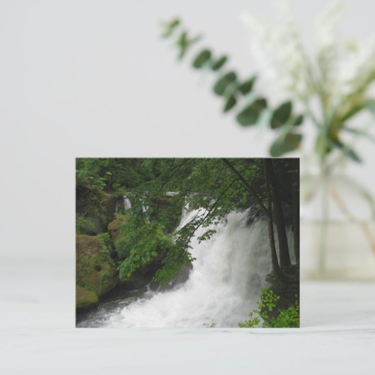 Wasserfall Postkarte (Stehend Vorderseite)