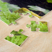 Wasserfall, Puzzle in Schottland (Seite)