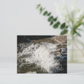 Wasserfall, Robert H Treman Staat Park, New York Postkarte (Stehend Vorderseite)