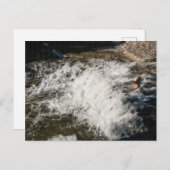Wasserfall, Robert H Treman Staat Park, New York Postkarte (Vorne/Hinten)