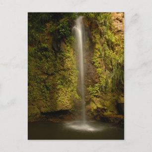 Wasserfall Saint Lucia Postkarte