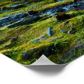 Wasserfall Seljalandsfoss in Island Poster (Ecke)