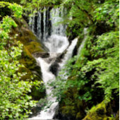 WASSERFALL SERVIETTE