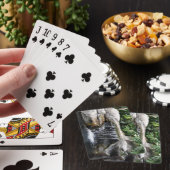 Wasserfall Spielkarten (In Situ)