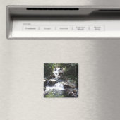Wasserfall strömt über Felsen in einen ruhigen Poo Magnet (In Situ (Geschirrspüler))