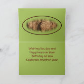 Wasserfall-Tagesanpassung Karte (Innenseite)