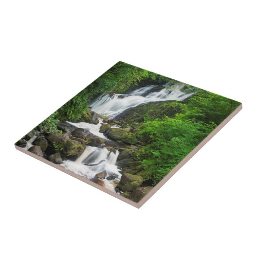 Wasserfall Torc landschaftlich, Irland Fliese (Seite)