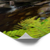 Wasserfall Torc landschaftlich, Irland Poster (Ecke)