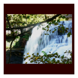 Wasserfall Tropisch Grün Natur Name Personalisiere Poster