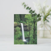 Wasserfall umgeben von üppigen Grüntönen Postkarte (Stehend Vorderseite)