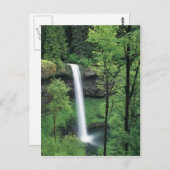 Wasserfall umgeben von üppigen Grüntönen Postkarte (Vorne/Hinten)