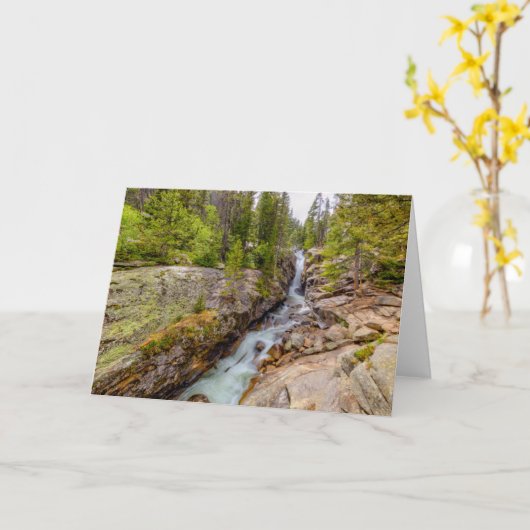 Wasserfall und Fluss Cascade Karte (Gelbe Blume)