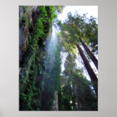 Wasserfall und Klippe Poster (Vorne)