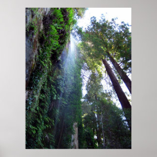 Wasserfall und Klippe Poster