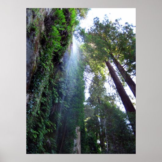 Wasserfall und Klippe Poster (Vorne)