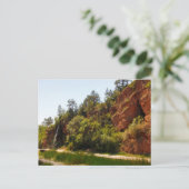 Wasserfall und Pfad, Heiße Quellen, Süddakota Postkarte (Stehend Vorderseite)