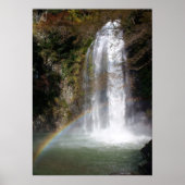 Wasserfall- und Regenbogenposter Poster (Vorne)