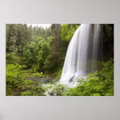 Wasserfall und Waldblick in Oregon Poster (Vorne)