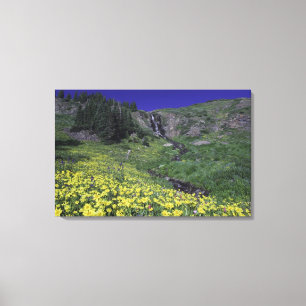 Wasserfall und Wildblumen auf Almwiese, 2 Leinwanddruck