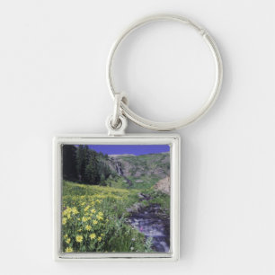 Wasserfall und Wildblumen auf Almwiese, 2 Schlüsselanhänger