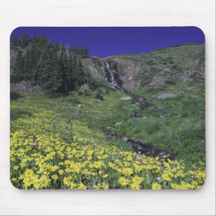 Wasserfall und Wildblumen auf Almwiese, 3 Mousepad