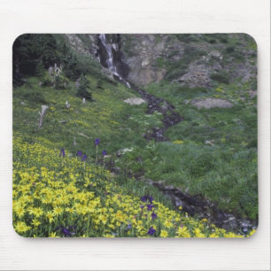 Wasserfall und Wildblumen auf Almwiese, Mousepad