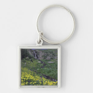 Wasserfall und Wildblumen auf Almwiese, Schlüsselanhänger