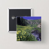 Wasserfall und Wildblumen auf Almwiesen, 2 Button (Vorne & Hinten)