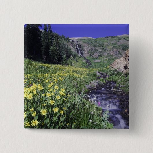 Wasserfall und Wildblumen auf Almwiesen, 2 Button (Vorderseite)