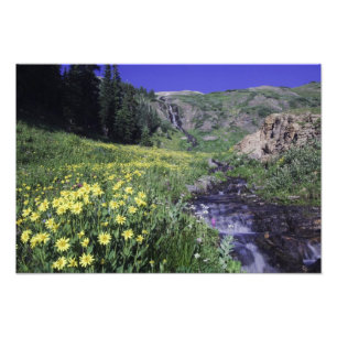 Wasserfall und Wildblumen auf Almwiesen, 2 Fotodruck