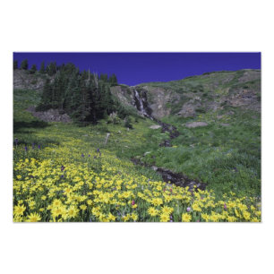 Wasserfall und Wildblumen auf Almwiesen, 2 Fotodruck