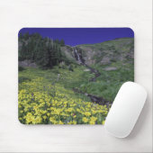 Wasserfall und Wildblumen auf Almwiesen, 3 Mousepad (Mit Mouse)