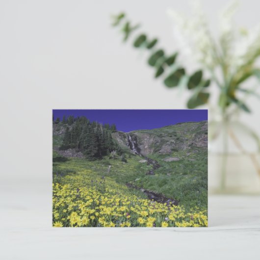 Wasserfall und Wildblumen auf Almwiesen, 3 Postkarte (Stehend Vorderseite)