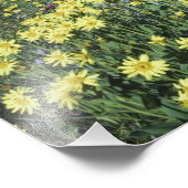 Wasserfall und Wildblumen auf Almwiesen, Fotodruck (Ecke)