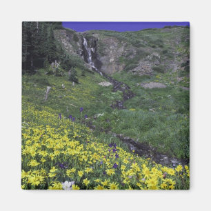 Wasserfall und Wildblumen auf Almwiesen, Magnet