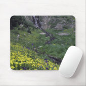 Wasserfall und Wildblumen auf Almwiesen, Mousepad (Mit Mouse)