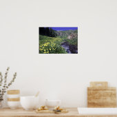 Wasserfall und Wildblumen auf Almwiesen, Poster (Küche)