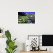Wasserfall und Wildblumen auf Almwiesen, Poster (Heimbüro)